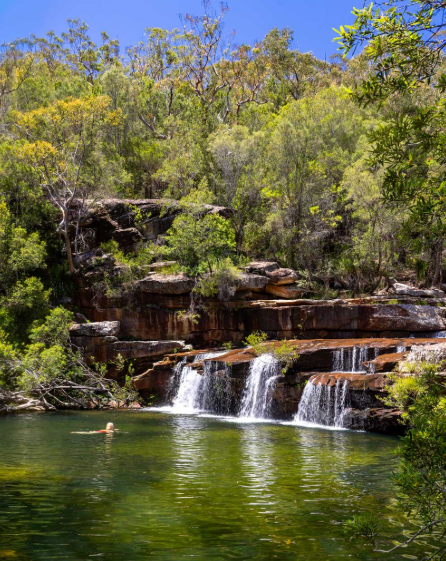 10 Must-Visit Waterfalls Near Sydney for an Unforgettable Nature Escape